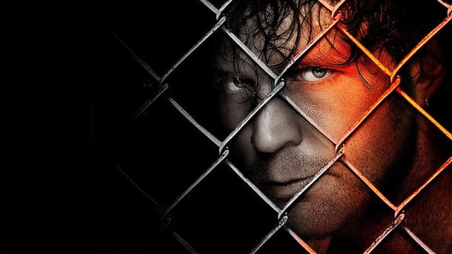 WWE Hell In A Cell 2014