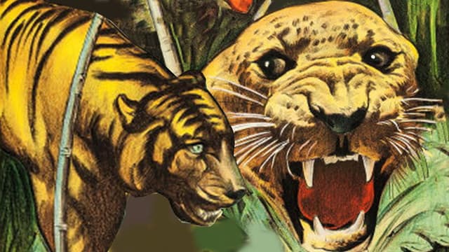Jaws of the Jungle
