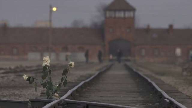 Inferno: Letters from Auschwitz
