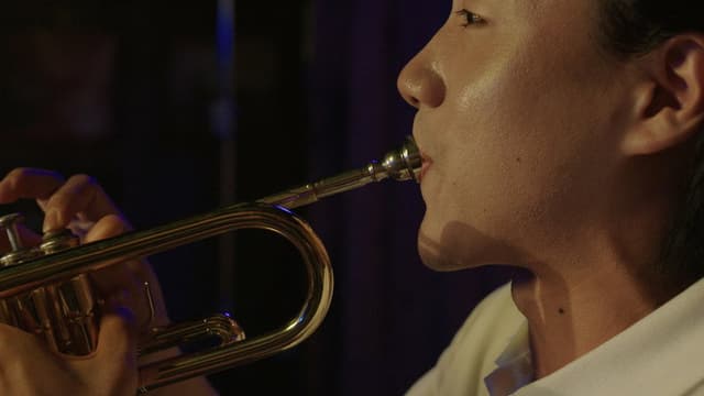Dear My Trumpet