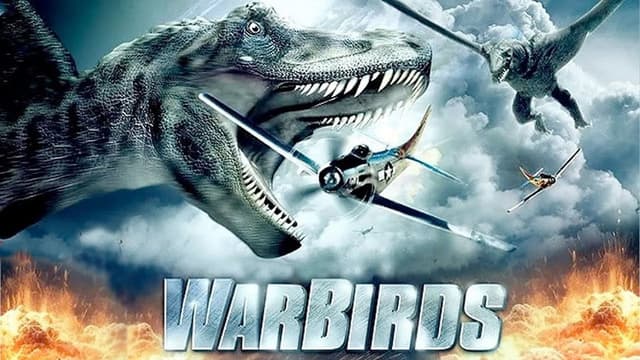 Warbirds