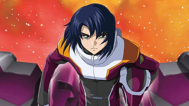 Mobile Suit Gundam SEED Destiny TV Movie II: Their Respective Swords