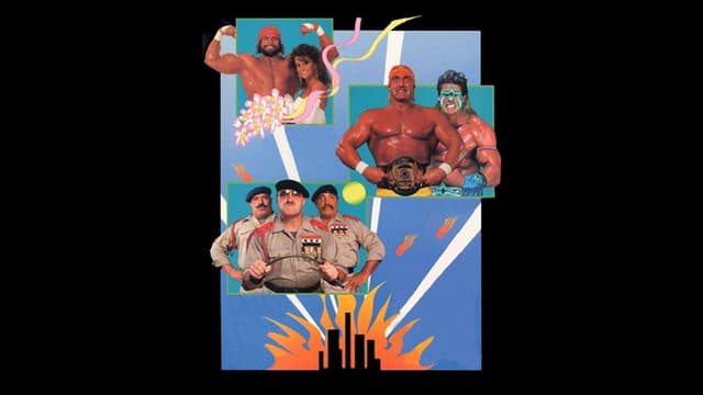 WWE SummerSlam 1991