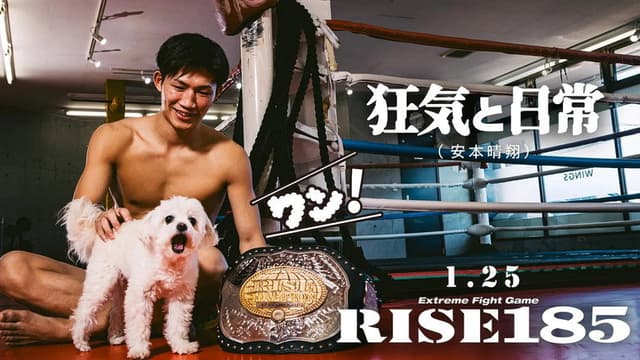 RISE 185