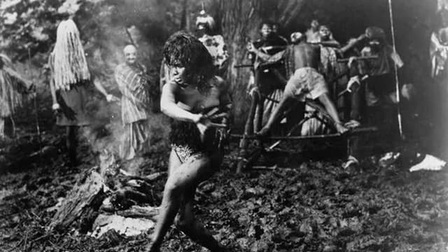 Curse of the Voodoo