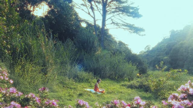 Mi Jardín