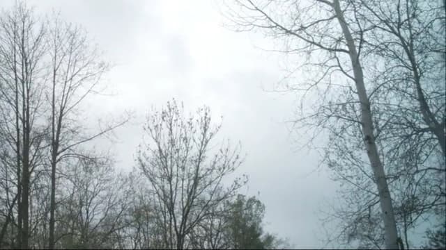 La Traversée