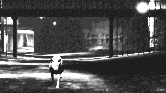 A Coyote Walks