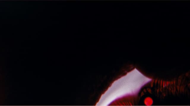 Bela Belara's A Vampire