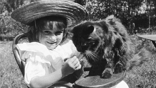 The Little Girl and Her Cat