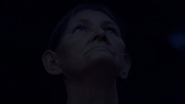 Our Own Shadow