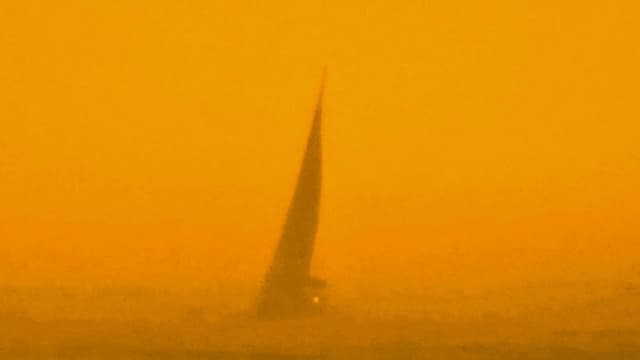 The Last Days of Humanity