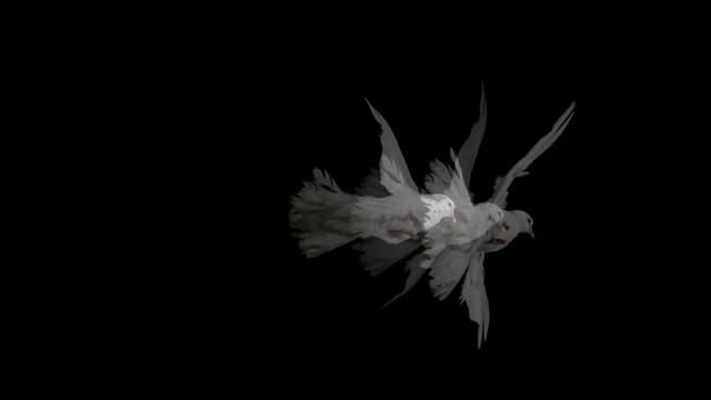 Doves (Loss of Love and Desensitization of Grief)