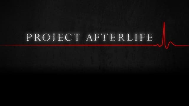 Project Afterlife