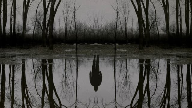 The Outsider