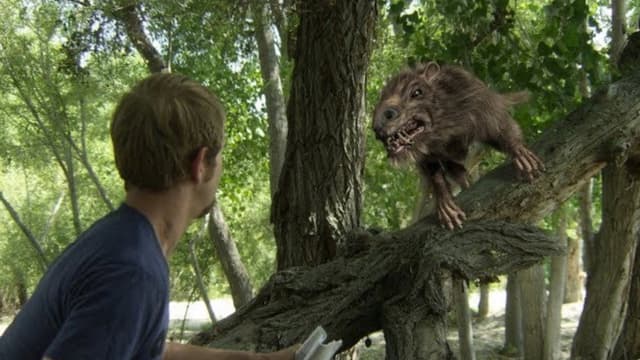 Return of the Killer Shrews