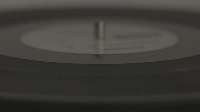 The Vinyl Player