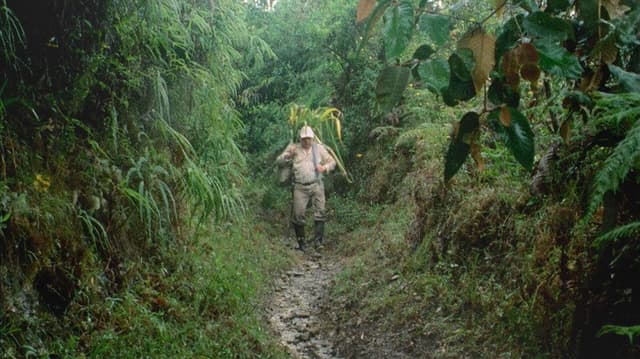 Baudilio