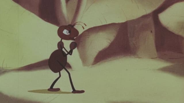 A Bragging Ant