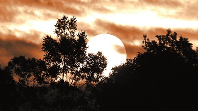 The Snow Behind the Sun
