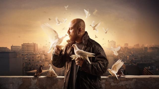 Al Ghawy