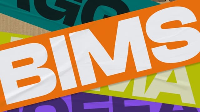BIMS