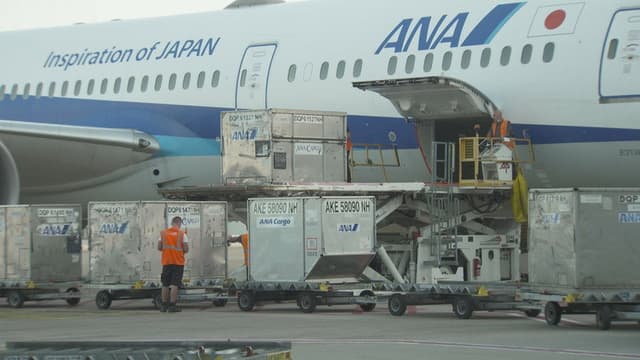 Luchthaven 24/7