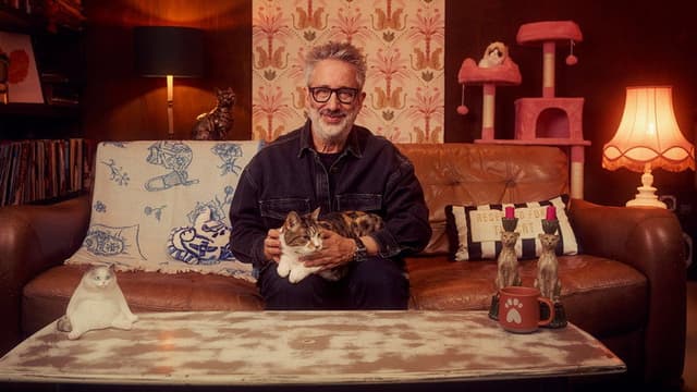 David Baddiel: Cat Man