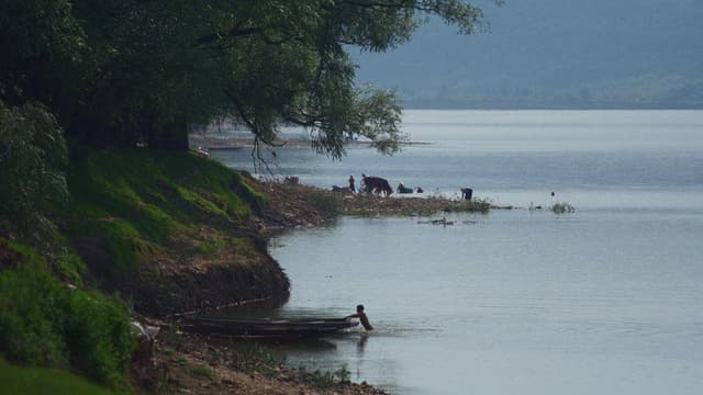 Silent Flood