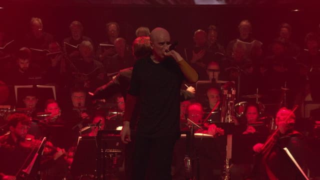 Devin Townsend: The Moth