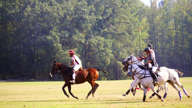 From Rodeo to Polo: The 1st HBCU Polo Team