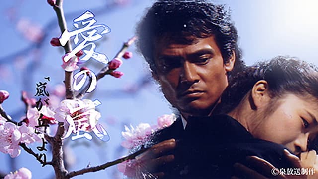 Ai no Arashi