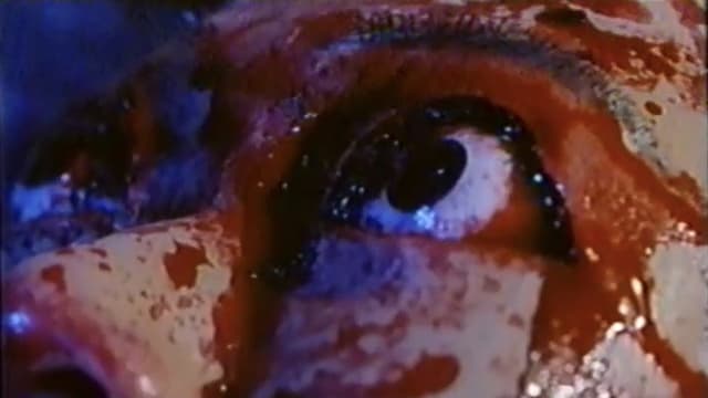 Wandering Brain