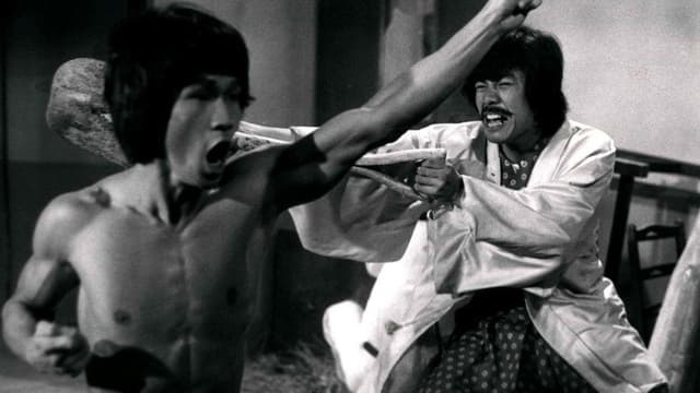 Bruce and the Dragon Fist