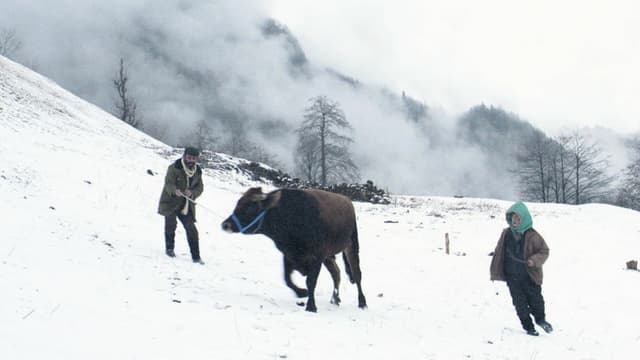 Cold of Kalandar