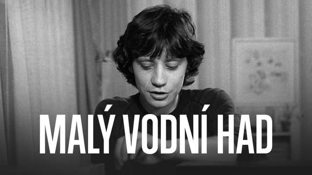 Malý vodní had