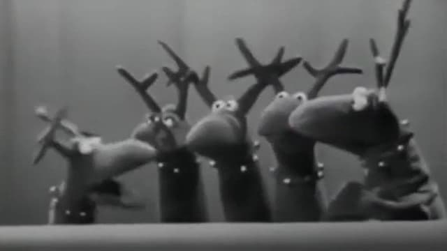 The Reindeer