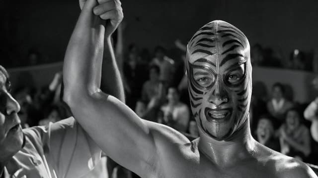 Los tigres del ring