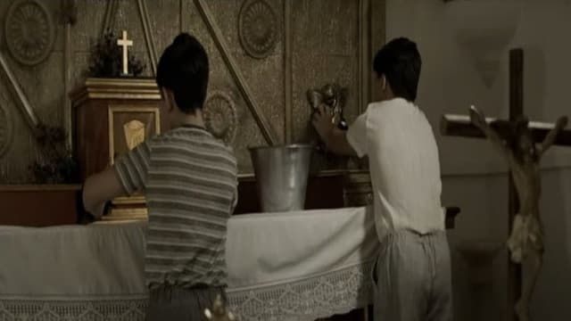 La paz de los cementerios