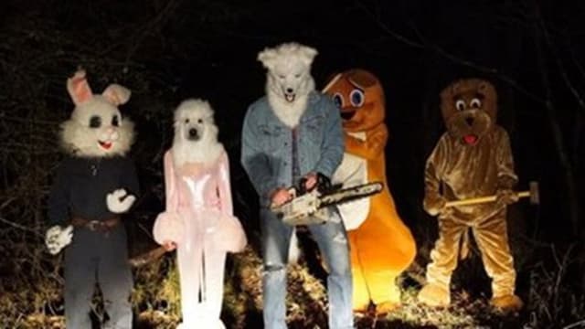 Furry Nights