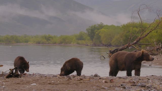 Wild Edens: Russia