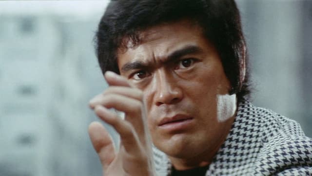 Bodyguard Kiba 2