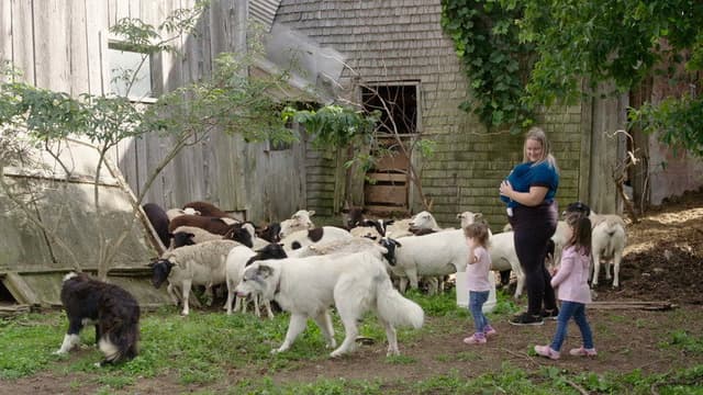 La famille est dans le pré