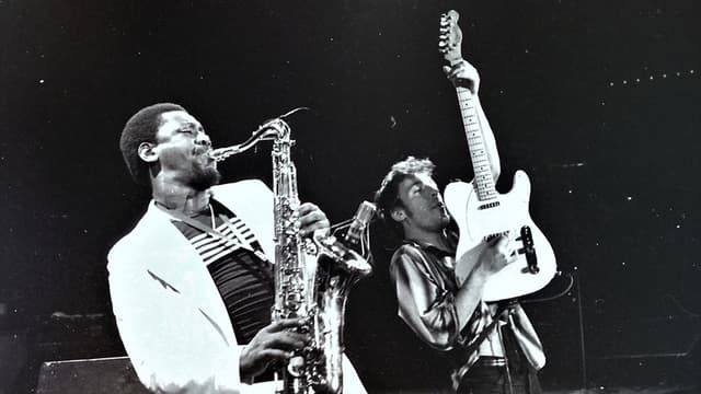 Bruce Springsteen & the E Street Band Houston '78 Bootleg: House Cut
