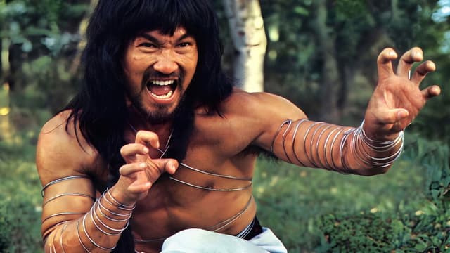 Cantonen Iron Kung Fu