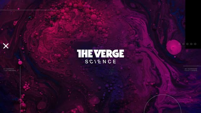 Verge Science