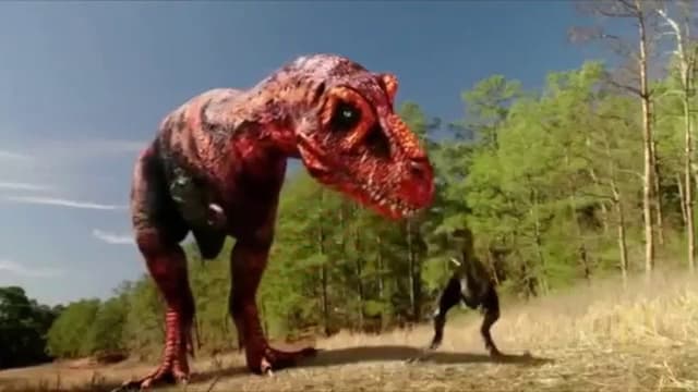 Dinosaurs Decoded