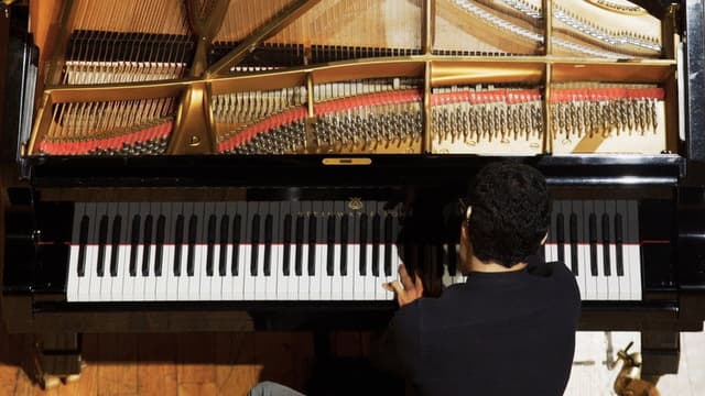 Concerto For Other Hands