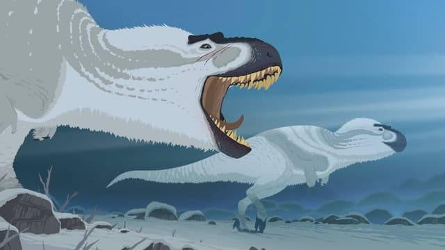 Our Frozen Past