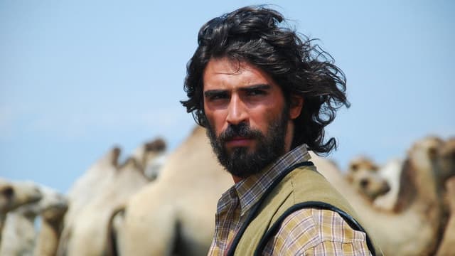 Steppe Man